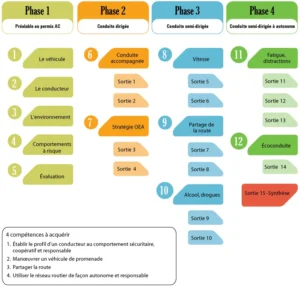 French driving course steps infographic showing lesson progression
